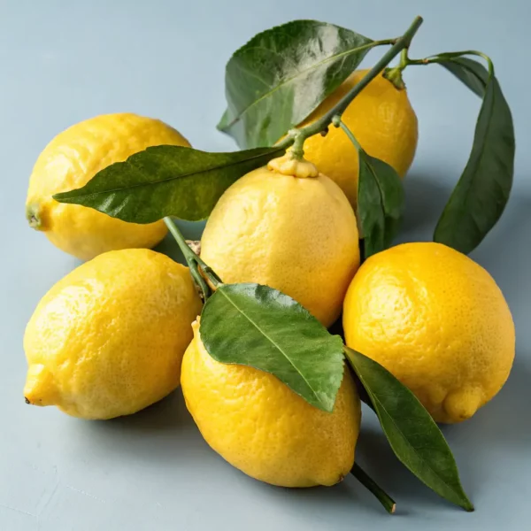 Lemon Tree